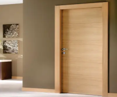 Flush Door