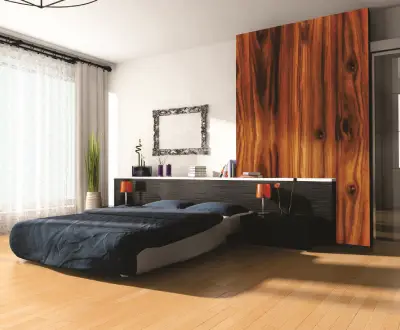 Veneer (1)